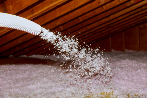 Professional Insulation Contractor in Olathe, CO