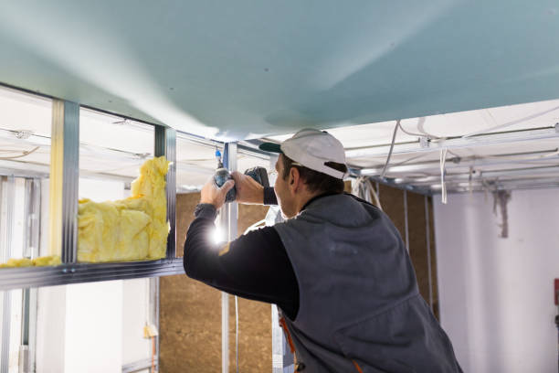 Best Cellulose Insulation  in Olathe, CO