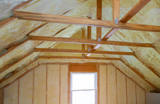 Best Insulation Inspection Services  in Olathe, CO