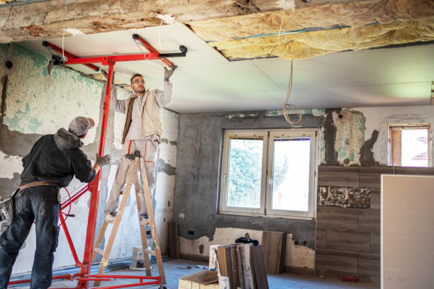 Best Local Insulation Services  in Olathe, CO